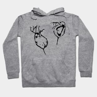 Daphnia spec. (Crustacea) Hoodie